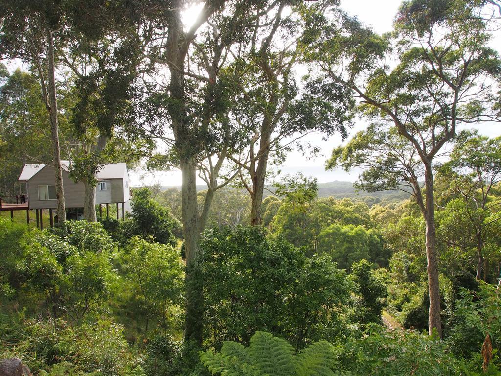 Bundle Hill Cottages Bawley Point Cameră foto